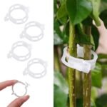 30/150Pcs Tomato Clips, Plastic Trellis Clips, Plant Support Clips, Grape Vine Tomato Vine Vegetables Plants Garden Support Clips To Grow Upright Makes Plants Healthier - Image 10