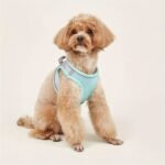 Comfy & Safe Pet Harness: Soft Mesh Cat & Dog Vest With Reflective Strip For Small Dogs - Image 11