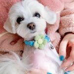 1Pc Adjustable Plaid Cat Collar With Bow Tie - Perfect For Holiday Dress Up And Everyday Wear - Image 8