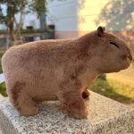 Adorable 22.35Cm Capybara Plush Toy - Soft, Lifelike Rodent Stuffed Animal With Smiling Face, Perfect For Boys & Girls, Ideal Birthday Or Holiday Gift, Stuffed Plushies - Image 9