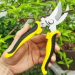 One Set, Branch Scissors, Stainless Steel Fruit Scissors, Multi-Functional Branch Scissors, Garden Scissors, Anti-Slip, Labor-Saving, Manual Pruning Scissors - Image 9