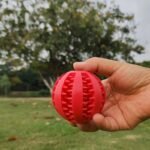 Teddy Puppy Dental Chew Ball For Teeth Cleaning & Plaque Removal - Heavy-Duty Plastic Individually Wrapped Dental Toy With Non-Toxic Chewable Chew Ball, Interlocking Teeth Design & Hanging Loop For Small/Medium/Large Dogs - All Breed Sizes, & Dental Health, Chew Ball For Teeth Cleaning & Mental Stimulation, Durable Chewable Dog Toy With Ergonomic Teeth-Cleaning Holes (No Liquid) - Image 8