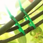100Pcs Heavy-Duty Plastic Plant & Garden Cable Ties - Green & Clear Durable /Indoor Use, Flexible & Sturdy Wire-Like Structure For Climbing Plants, Potted Plants, Trellis, Fence, Shelf - All-Weather Durable, Long-Lasting, Easy To Cut-To-Length (Compatible With String/Wire) - Ideal For Vines, Roses, Ivy, Clematis, Wisteria - (100 Individually Wrapped) - Clear & Green Use, Plant Straps, Plant Ties For Plants, Plant Tying Machine Tool, Garden Tape For Plants, - Image 5