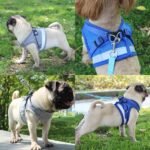 Breathable Cat Harness And Leash Set, Escape Proof Pet Clothes Kitten Puppy Dogs Vest Adjustable Easy Control Reflective Cat Harness - Image 13