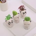 1Pc, Ceramic Flower Pot Mini Cat Cartoon Cute Potted Plant Desktop Potted Cat Potted Diy Desk Decoration Youngsters'S School Gift - Image 10