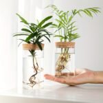1Pc, Hydroponics Plants Desktop Glass Planter Vase For Home Decoration, Plant Propagation Station Bud Vase, Desktop Hydroponics Plant Vases For Living Room Table Decoration Kitchen Office - Image 6
