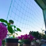 Heavy-Duty Nylon Plant Climbing Net - Portable Flower Vine Climbing Frame For Garden, Vegetable & Flower Plants - Breathable Mesh Design Prevents Damage & Allows Growth, Climbing Plant Support, Sturdy Construction - Image 8