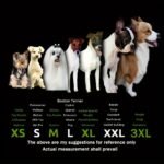 4Pcs Water-Resistant Dog Shoes For Small Dogs - Protect Your Pet'S Paws And Keep Them Dry Christmas Gift - Image 4