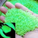 4000Pcs Luminous Stones, Resin Glow In The Dark Rocks For Halloween Decor, Micro Landscape, Bonsai Decor, Pathway, Aquarium, Lawn, Yard, Fall Decor - Image 7