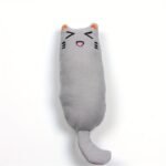 Pet Cat Toy, Cat Bite Toy, Bite Resistant Teeth Grinding Toy - Image 9