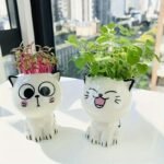1Pc, Ceramic Flower Pot Mini Cat Cartoon Cute Potted Plant Desktop Potted Cat Potted Diy Desk Decoration Youngsters'S School Gift - Image 8