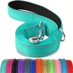 1Pc Of Single-Sided Reflective Dog Leash Made Of Soft Neoprene, Padded And Breathable, 1 Inch In Width, Available In Lengths Of 6Ft, 5Ft, Or 4Ft, Suitable For Walking And Training Medium To Large Dogs, Without Battery