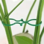 20Pcs Durable Green Plastic Garden Vine Strapping Clips - Versatile Plant Support Ties With Various Shapes For Tomato & Vegetable Gardens, Includes Ring & Buckle Holders - Image 6