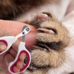 1Pc Pet Nail Grinder Nail Clipper Scissors For Dog And Cat Paws Grooming Grinding Tool - Image 2