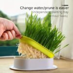 1Pc Hydroponic Cat Grass Growing Pot (Without Seeds), Plastic Pet Bowl - Image 8