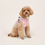 Comfy & Safe Pet Harness: Soft Mesh Cat & Dog Vest With Reflective Strip For Small Dogs - Image 3