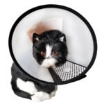 Soft Elizabethan Collar Comfortable Adjustable Soft Elizabethan Collar For Pets - Anti-Scratch & Bite, Recovery Cone With Black Trim For Dogs And Cats