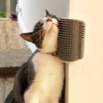 Wall-Mounted Cat Self Groomer With Massage Comb Brush - Perfect For Kitten And Puppy Grooming And Relaxation - Image 4