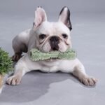 Striped Durable Dog Chew Stick - All-Breed Dental Health Toothbrush Toy For Teeth Cleaning & Massage - Image 6