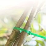 100Pcs Heavy-Duty Plastic Plant & Garden Cable Ties - Green & Clear Durable /Indoor Use, Flexible & Sturdy Wire-Like Structure For Climbing Plants, Potted Plants, Trellis, Fence, Shelf - All-Weather Durable, Long-Lasting, Easy To Cut-To-Length (Compatible With String/Wire) - Ideal For Vines, Roses, Ivy, Clematis, Wisteria - (100 Individually Wrapped) - Clear & Green Use, Plant Straps, Plant Ties For Plants, Plant Tying Machine Tool, Garden Tape For Plants, - Image 2