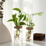1Pc, Hydroponics Plants Desktop Glass Planter Vase For Home Decoration, Plant Propagation Station Bud Vase, Desktop Hydroponics Plant Vases For Living Room Table Decoration Kitchen Office - Image 8