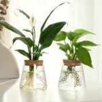 1Pc, Glass Planter Propagation Station Vase Rack Tabletop Hydroponic Plants Cuttings Office Home Decoration - Image 2