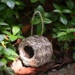 2Pcs/3Pcs/4Pcs Hand Woven Hummingbird Nest House - Perfect For Outdoor Garden And Yard, Ball Shape Design For Comfortable Nesting - Image 10