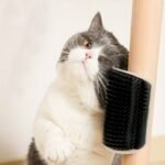 Wall-Mounted Cat Self Groomer With Massage Comb Brush - Perfect For Kitten And Puppy Grooming And Relaxation - Image 7