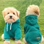Pet Hooded Sweatshirt For Small Dogs, 65% Polyester 35% Knit Pullover Hoodie For Schnauzer, Poodle, Teddy, Hand Wash Only - Green