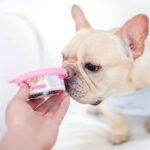 1Pc Random Color Silicone Pet Food Can Cover, Moisture Proof Easy To Clean Round Dog Food Can Lid - Image 5