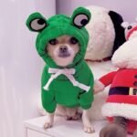 Cute Frog Pet Sweater For Small And Medium Dogs - Green Dog Hoodie With Fun Design Christmas Gift - Image 8