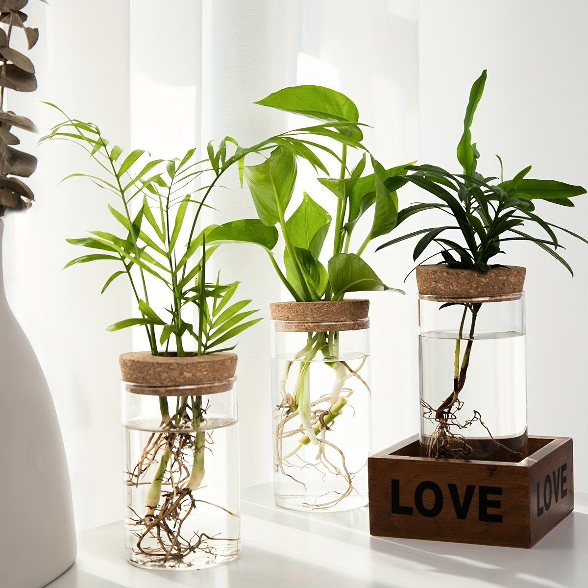 product-Fancyalgo-VirtualModelMatting-f53bb21d8fb9473d8d5de08dd0c0a68c.jpg 1Pc, Hydroponics Plants Desktop Glass Planter Vase For Home Decoration, Plant Propagation Station Bud Vase, Desktop Hydroponics Plant Vases For Living Room Table Decoration Kitchen Office - Image 1