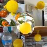 1Pc, Fruit Fly Balls, Fly Trap Sticky Ball, Insect Ball Traps, Wasp Traps, Mosquito Traps, Bug Traps, Waterproof And Heat-Resistant, Household Orchard Garden Sticky Ball Fly Catcher, For Indoor And Outdoor, Pest Control, Household Gadgets - Image 2