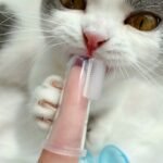 Finger Toothbrush For Dog & Cat, Dog Finger Toothbrush, Finger Brush For Pets Tooth Cleaning - Image 4