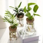 1Pc, Hydroponics Plants Desktop Glass Planter Vase For Home Decoration, Plant Propagation Station Bud Vase, Desktop Hydroponics Plant Vases For Living Room Table Decoration Kitchen Office - Image 2