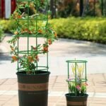 12Pcs, Plant Support Plant Stakes, Half Round Plant Support Ring Plastic Plant Cage Holder Flower Pot Climbing Trellis For Small Plant Flower Vegetable, Indoor Plants - Image 2
