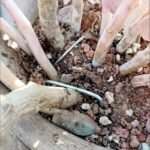 15/25Pcs Galvanized Garden Landscape Pin, U-Shaped Lawn Fabric Landscape Pin For Safety Garden Flower Plants Supplies, Garden Balcony Planting Supplies, Planters & Container Accessories - Image 2