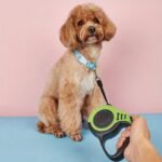 Make Outdoor Walks Easier With This Automatic Retractable Dog Leash - 3/5 Meter Minimalist Design! - Image 16