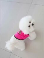 Summer Breathable Clothes For Pets, Lightweight Vests For Dogs And Cats, Thin Outfits For Corgis. - Image 13