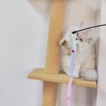 Interactive Cat Teaser Toy - Soft Plush Strip With Teasing Stick For Kitten Play - Pet Supplies For Fun And Exercise - Image 14