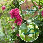 20/50/100/200Pcs, Plant Clips For Climbing Plants Garden Clips Plant Support Clips For Tomato Gardening Clips Vegetable Clips For Support For Securing Plants - Image 12