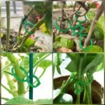 20/50/100/200Pcs, Plant Clips For Climbing Plants Garden Clips Plant Support Clips For Tomato Gardening Clips Vegetable Clips For Support For Securing Plants - Image 2