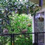 2Pcs/3Pcs/4Pcs Hand Woven Hummingbird Nest House - Perfect For Outdoor Garden And Yard, Ball Shape Design For Comfortable Nesting - Image 13