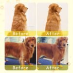 Lemon/Mango/Banana Styles, Multiple Options Available. Self-Cleaning Steam Cat Brush, One-Key Spray & Massage, Universal For Cats And Dogs. Standard Version (Fixed Head + 150Mah), Lemon Pro Version (2 Replaceable Heads + 400Mah Large Battery). - Image 10