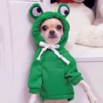 Cute Frog Pet Sweater For Small And Medium Dogs - Green Dog Hoodie With Fun Design Christmas Gift - Image 4