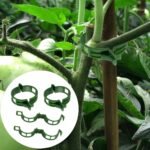Durable Plastic Garden Trellis Clips - 10/50/100/150Pcs - Ideal For Supporting Tomato, Grape Vines & Vegetables - Promotes Healthy Upright Growth, Garden Trellis For Climbing Plants - Image 2
