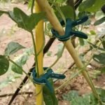 50/30/10Pcs Adjustable Plant Clips - Reusable Garden Support For Flowers, Vines, Vegetables & Tomatoes - Durable Plastic, Essential Gardening Tools - Image 12