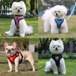 Dog Harnesses Leash, Mesh Cloth Pet Collars, Puppy Breathable Reflective Lead Dog Rope, Adjustable Pet Supplies Christmas Gift - Image 10