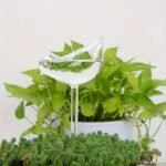 5Pcs Bird-Shaped Self-Watering Globes - Automatic Flower Watering System With Drip Tray, Ideal For Home Garden, Balcony Succulents & Shower Plants, Durable Plastic Design, Plant Watering System, Balcony Gardening, Elegant Bird Design, Transparent Material - Image 6