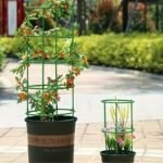 8Pcs Adjustable Plastic Plant Support Cages - Suitable For Indoor And Outdoor Flexible Garden Plant Support Frames - Image 10